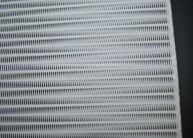 İyi bir fiyat. Küçük Döngü Polyester Spiral Mesh, Kağıt Yapımı İçin Konveyör Bantlı Mesh çevrimiçi