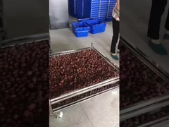 kurutma için paslanmaz çelik tel örgü arabası