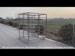 Özel boyutlu paslanmaz çelik tepsisi raf arabası