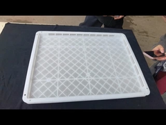 PP Plastik Yüklenebilir Kurutma Gıda Tepsisi