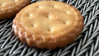 Paslanmaz Çelik 304 Metal Isıya Dayanıklı Yüksek Sıcaklık Fırın Konveyörü Balıksırtı Tel Örgü Bisc