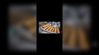 Çikolata kaplama için Paslanmaz Çelik Pizza Fırını Merdiveni Zincir bağlantı Konveyör Düz Hasır Flex Kemer,