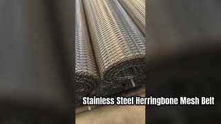 Paslanmaz Çelik Herringbone Taşıyıcı Kemeri